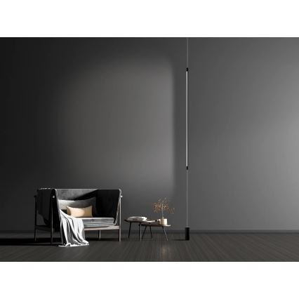 Zambelis 20184 - LED-lattiavalaisin LED/22W/230V