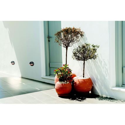 Zambelis E294 - LED-ulkoportaikkovalaisimet LED/2W/230V IP65 antrasiitti