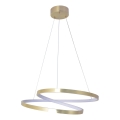 ZEFIRA LED-riippuvalaisin vaijerilla LED/40W/230V 4000K Ø 50 cm kultainen