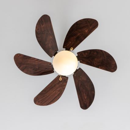 ZEVENTI - Kattotuuletin FAMARA 1xE14/60W/230V