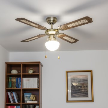 ZEVENTI - Kattotuuletin NAVAGIO 1xE27/60W/230V ruskea