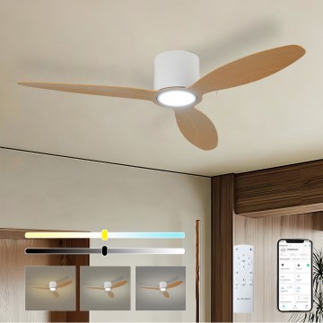 ZEVENTI - LED Himmennettävä kattotuuletin VENTORA LED/24W/230V 3000/4000/6000K Wi-Fi Tuya valkoinen/tammi + kaukosäädin