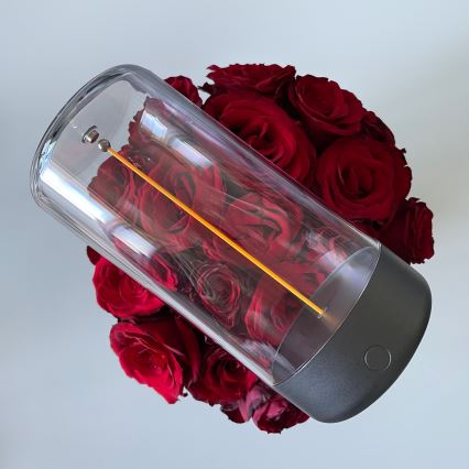 Zuma Line - LED himmennettävä ladattava pöytävalaisin LED/0,5W/230V musta IP54