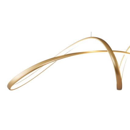 Zuma Line - LED-kattokruunu johdossa LED/50W/230V 3000/4000/6000K kulta