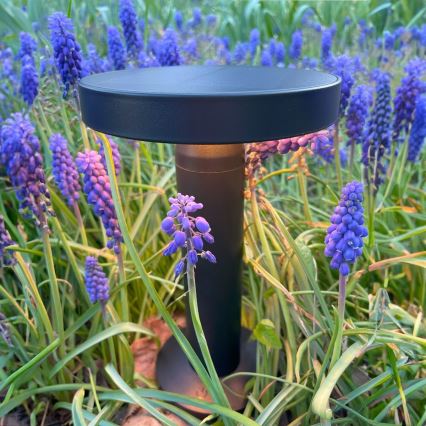 Zuma Line - LED himmennettävä aurinkokennolla ladattava pöytävalaisin LED/2W/2000 mAh IP44 musta