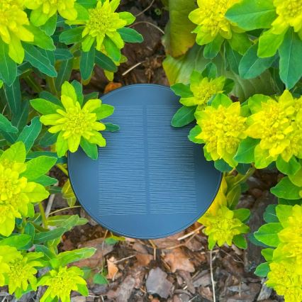 Zuma Line - LED himmennettävä aurinkokennolla ladattava pöytävalaisin LED/2W/2000 mAh IP44 musta