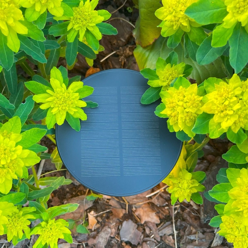 Zuma Line - LED himmennettävä aurinkokennolla ladattava pöytävalaisin LED/2W/2000 mAh IP44 musta