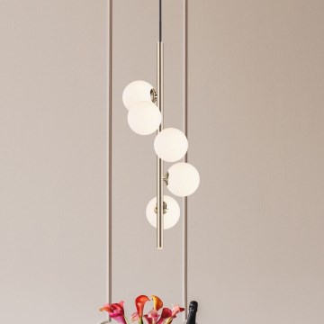 Zuma Line - Kattokruunu johdossa 5xG9/4W/230V kulta