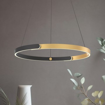 Zuma Line - LED himmennettävä kattokruunu johdolla LED/30W/230V musta/kulta