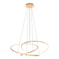 Zuma Line - LED himmennettävä kattokruunu johdolla LED/56W/230V kulta