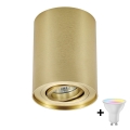 Zuma Line - LED RGBW himmennettävä kohdevalaisin 1xGU10/4,8W/230V, kultainen + kauko-ohjain