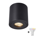 Zuma Line - LED RGBW himmennettävä kylpyhuoneen kohdevalaisin 1xGU10/4,8W/230V IP44 musta + kaukosäädin