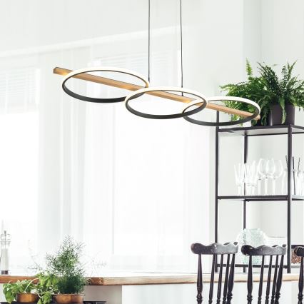 Zuma Line - LED himmennettävä riippuvalaisin johdolla LED/35W/230V