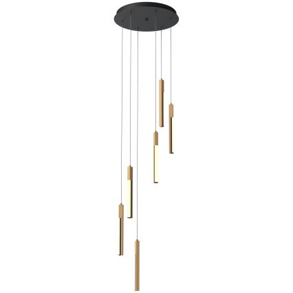 Zuma Line - LED himmennettävä riippuvalaisin johdolla LED/25W/230V