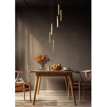 Zuma Line - LED himmennettävä riippuvalaisin johdolla LED/25W/230V