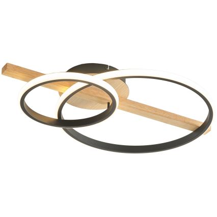 Zuma Line - LED himmennettävä pinta-asennettava kattovalaisin LED/17W/230V