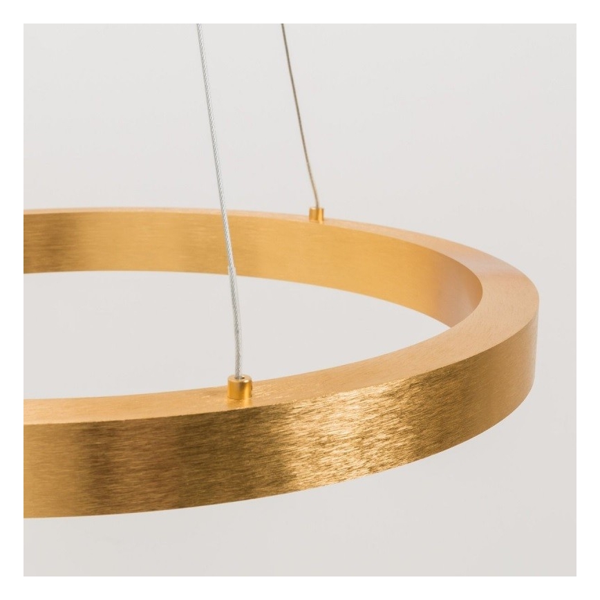 Zuma Line PL200910-500-GD - LED Riippuvalaisin CARLO 1xLED/40W/230V halk. 50 cm kultainen