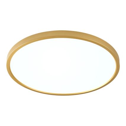 Zuma Line - LED-kattovalaisin 36 W/230 V, 3000/4000/6000 K, Ø 40 cm, kultainen